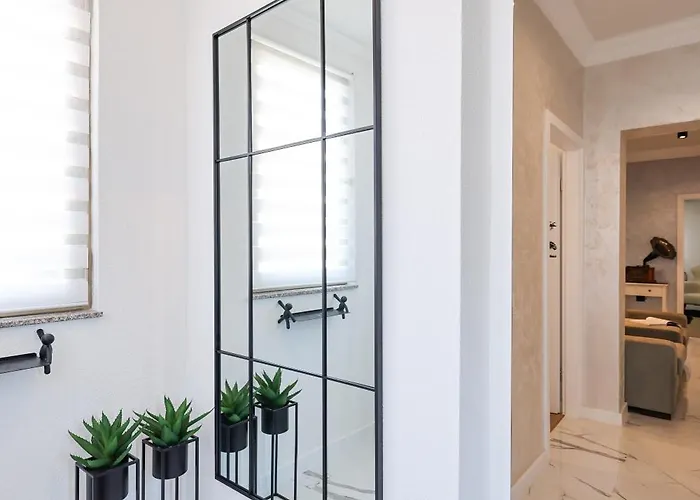 Oscar & Leo * 扎达尔